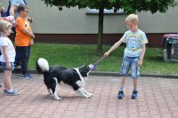 Dogoterapia, dziecko ciągnie linkę, którą pies trzyma w pysku