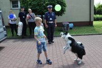 Dogoterapia, pies podbija pyskiem balonik
